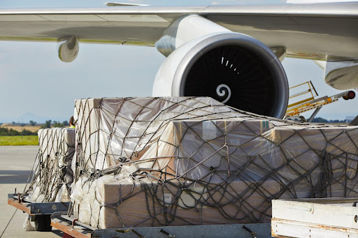 The 6 Most Interesting Air Cargo Shipments